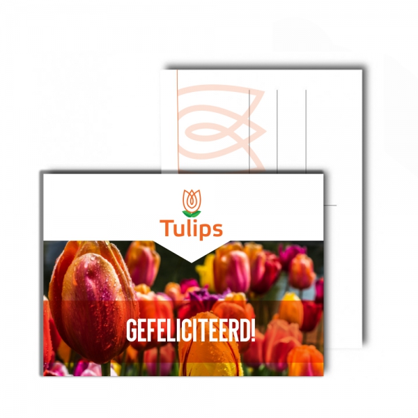 Ansichtkaarten / Wenskaarten