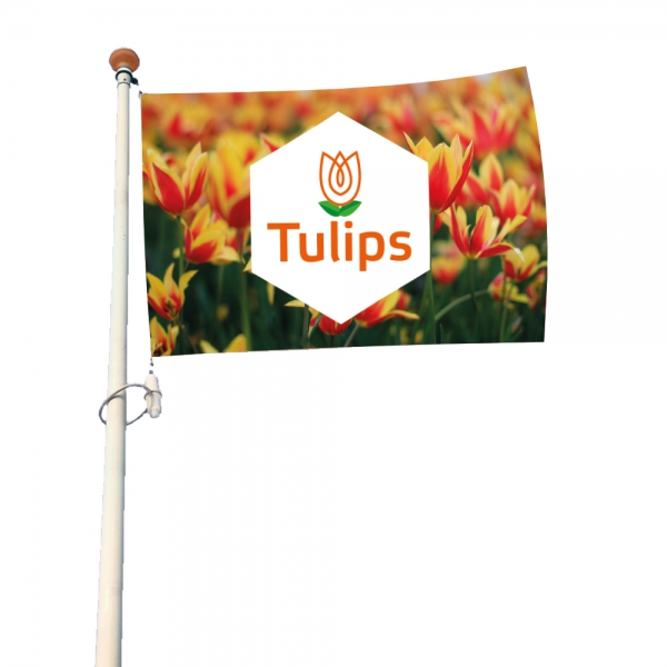 Mastvlag