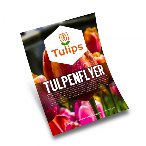 Flyers (ongevouwen)