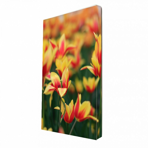 Foto op canvas