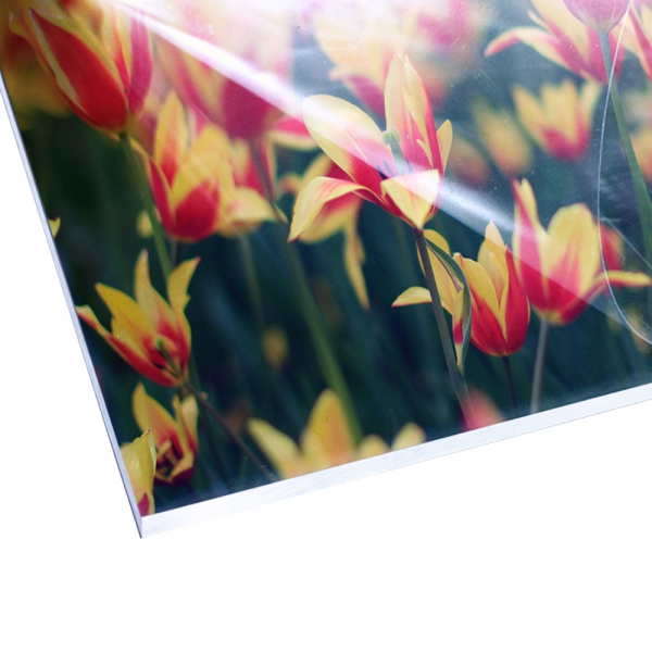 Foto op plexiglas