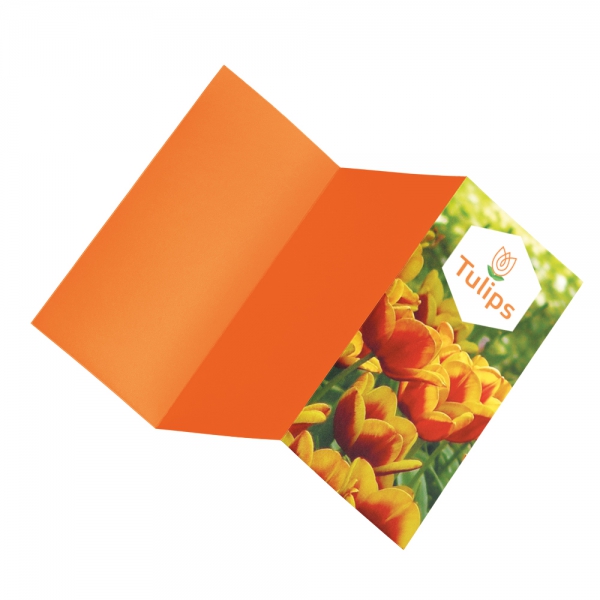 Folders (gevouwen flyers)