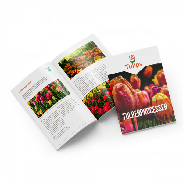Brochures (Gelijmd)